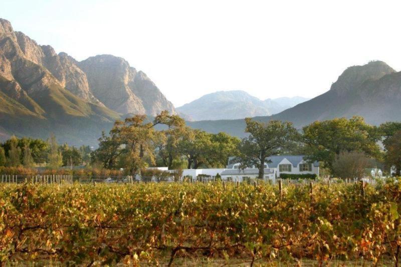 Auberge La Dauphine Guest House Franschhoek Kültér fotó