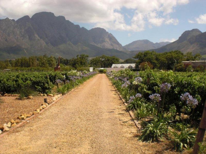 Auberge La Dauphine Guest House Franschhoek Kültér fotó