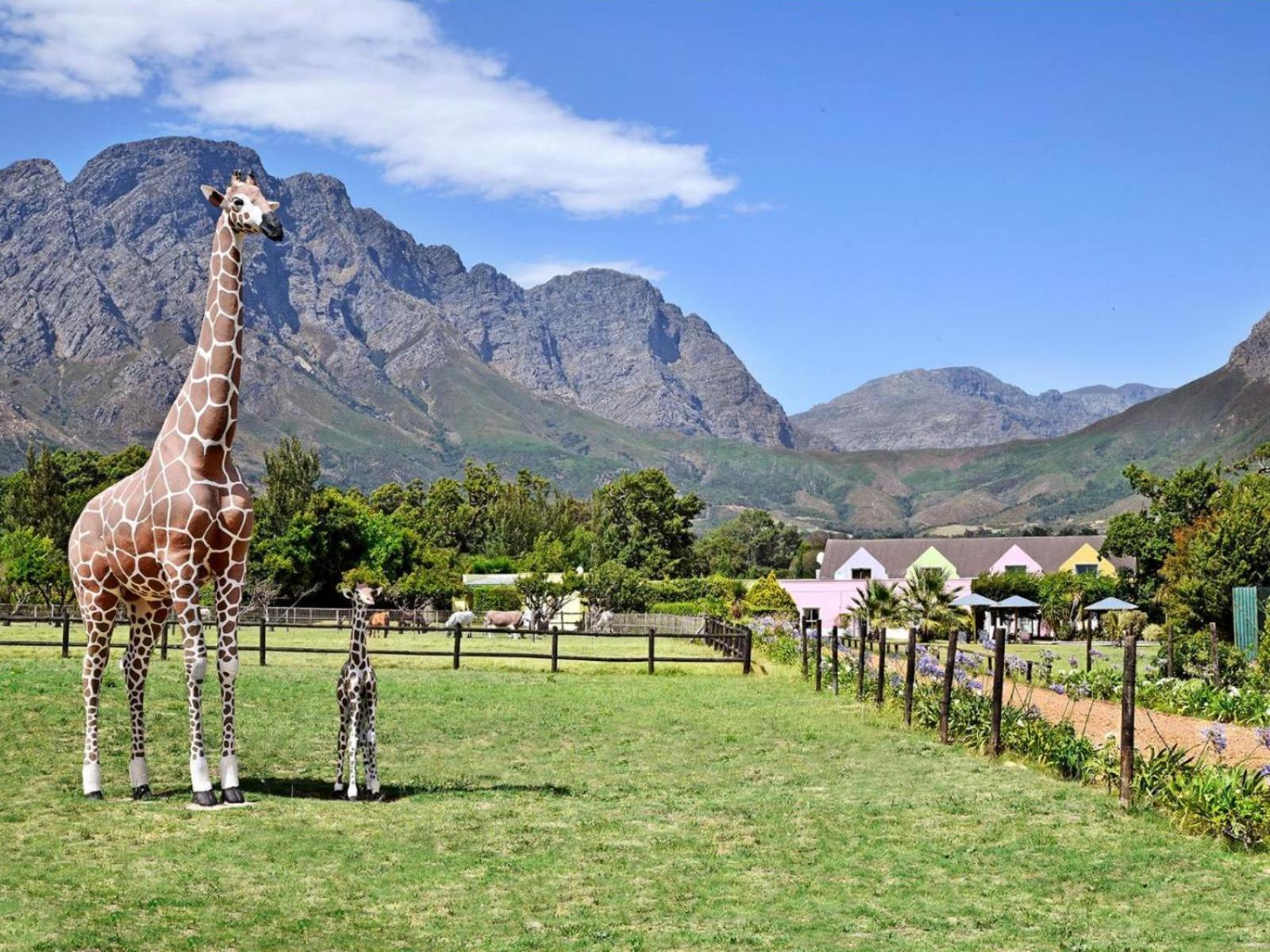 Auberge La Dauphine Guest House Franschhoek Kültér fotó