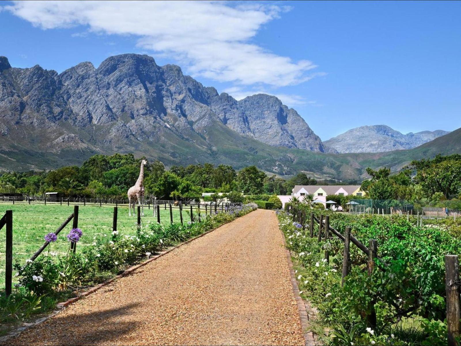 Auberge La Dauphine Guest House Franschhoek Kültér fotó