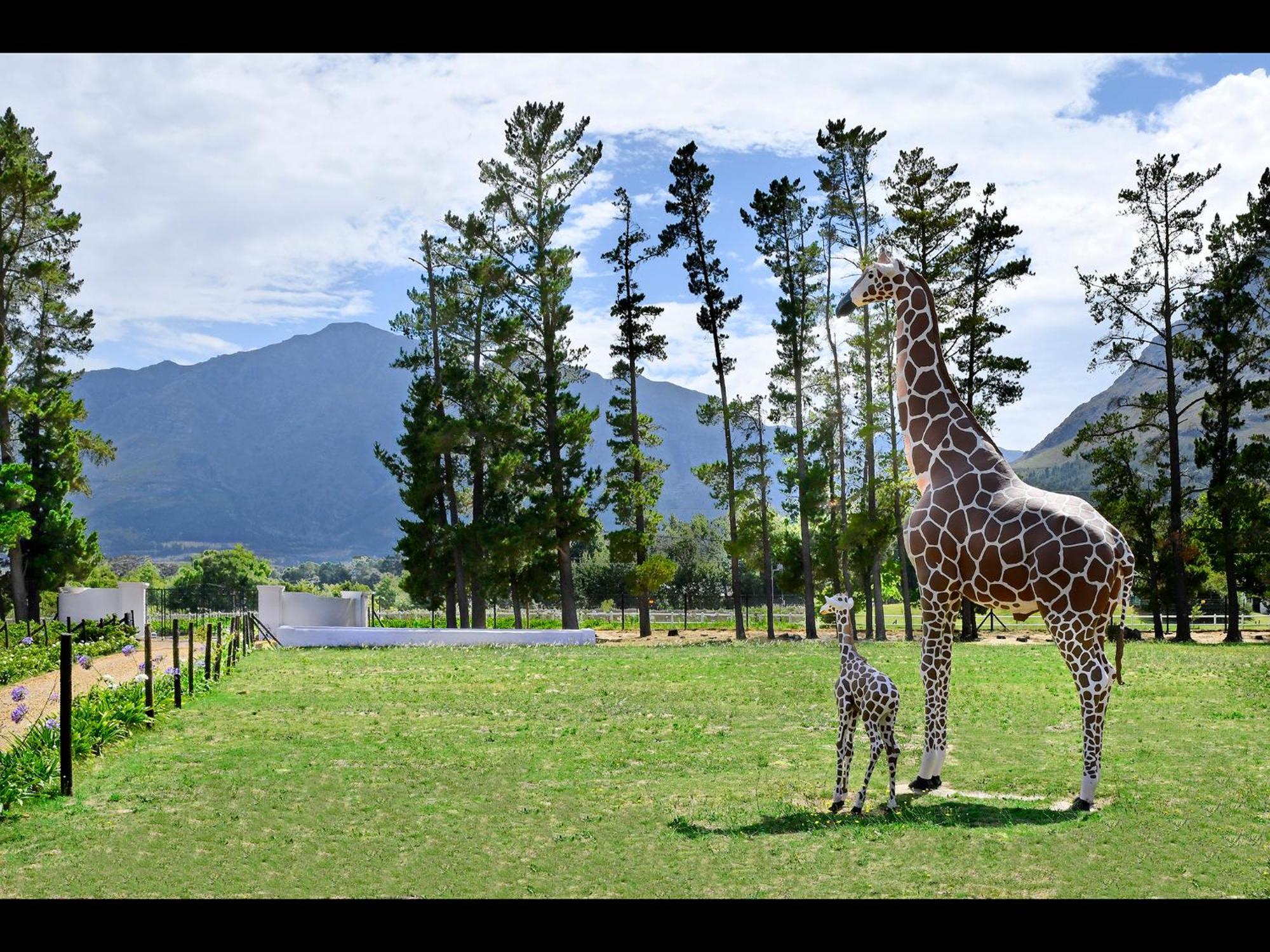 Auberge La Dauphine Guest House Franschhoek Kültér fotó
