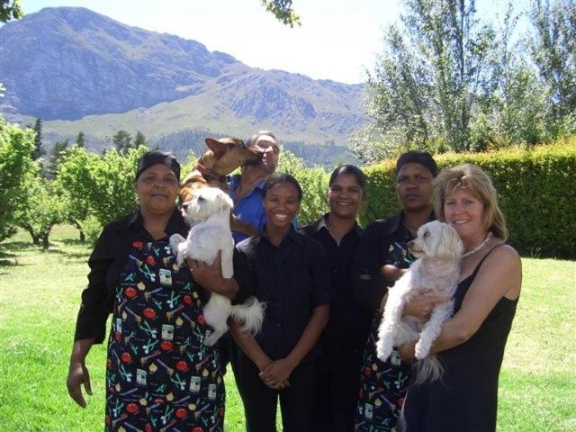 Auberge La Dauphine Guest House Franschhoek Kültér fotó